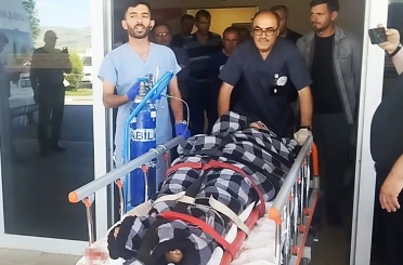 Hayvanlarını otlatırken ayı saldırısına uğradı, Kangallar imdadına yetişti 