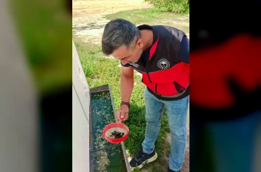 Haziran böceğiyle mücadele sürüyor 