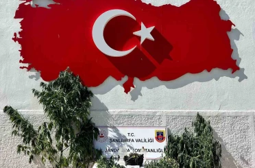 Hilvan’da uyuşturucu operasyonu: 1 gözaltı 