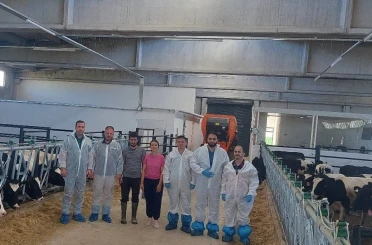 Hisarcık’ta ilk hastalıktan ari büyükbaş işletmesi için önemli adım 