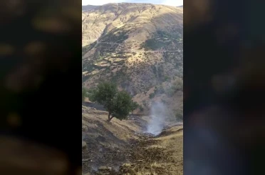 Hizan’da anız yangını 