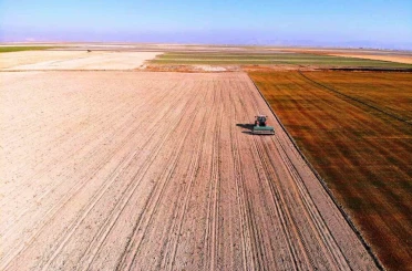 Hububat ambarı Konya Ovasında yağışlar yetersiz 