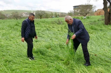 Hububatı ‘süper hücre’ vurdu 