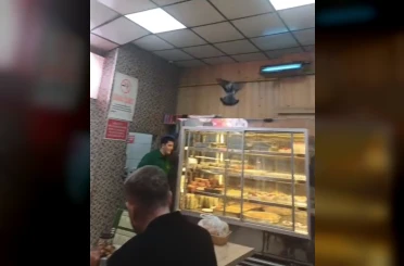 İftarda lokantaya giren güvercin ortalığı karıştırdı 