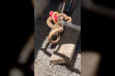 Iğdır’da eve giren yılan paniğe neden oldu 