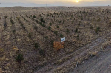 Iğdır’da fidanlar toprakla buluştu 