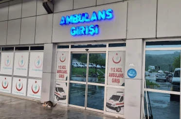 Ihlamur ağacından düşen kadın yaralandı 