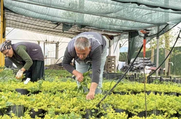 İklim değişikliği ve kuraklık nedeniyle su tasarruflu peyzaj dönemi 