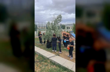 İlkokul öğrencileri okul bahçesindeki zeytin ağaçlarında hasat yaptı 
