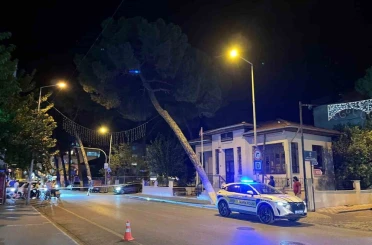 İncirliova’da çam ağacı kuvvetli rüzgara dayanamadı 
