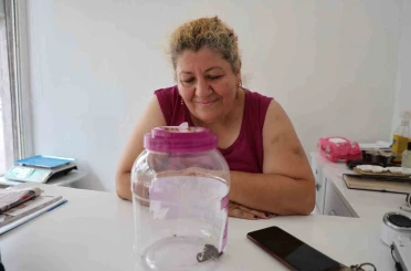 İş yerinin önünde akrep bulan esnaf ona bidon içinde bakmaya başladı 