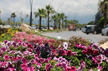 İskenderun sahili renkli çiçeklerle süslendi. 