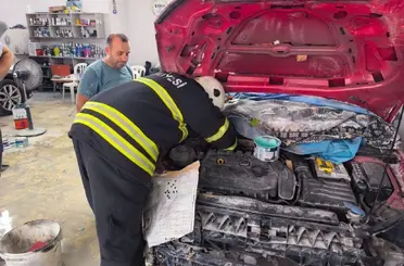 İskenderun’da mahsur kalan kedileri itfaiye kurtarıldı
