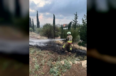 İskenderun’da otluk alan yangını 