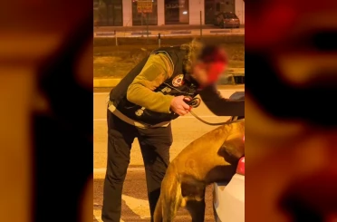Isparta’da narkotikten bir haftada 18 operasyon, 3 tutuklama 