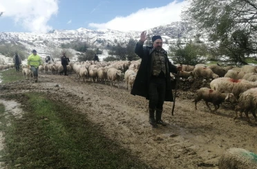 Isparta’da yaylada mahsur kalan çobanlar 30 saat sonra kurtarıldı 