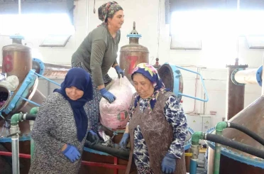 Isparta’nın pembe hazinesi: 4 ton gülden elde edilen yağın kilosu 12 bin avroya alıcı buluyor 