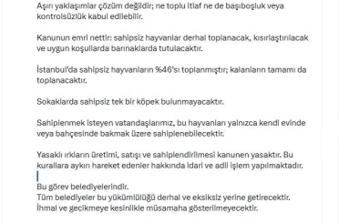 İstanbul Valisi Davut Gül: "Sahipsiz hayvanların yüzde 46’sı toplanmıştır; kalanların tamamı da toplanacaktır" 