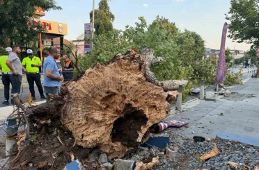 İstanbul’da kısa süreli etkili olan fırtına hasara yol açtı 