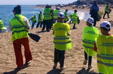 İsveç’te başlayan akım Karasu’ya ulaştı 