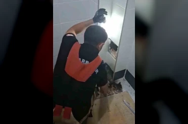 İtfaiye erleri havalandırma boşluğunda kalan kedi için seferber oldu 