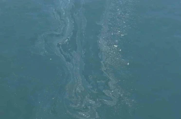 İzmir Körfezi’nde yine kirlilik tespit edildi 