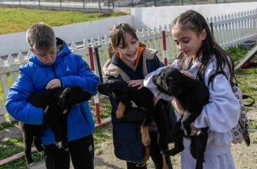 İzmir’de 2 bin 300 patili yuva bekliyor 
