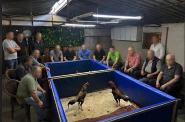 İzmir’de horoz dövüşü operasyonu: Çiftlik mühürlendi, 130 bin lira ceza kesildi 