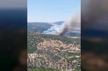 İzmir’de orman yangınına havadan ve karadan müdahale 