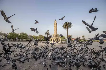 İzmir’in iklim deneyimi Avrupa’ya taşınacak
