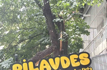 İzmit’te lokantanın üzerine devrilen ağaç dalları çatıda hasara yol açtı 