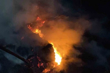 İzmit’te sera yangını: 800 saman balyası küle döndü 
