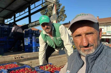 İznik’te mevsimin ilk karabodur kirazı hasadı başladı 