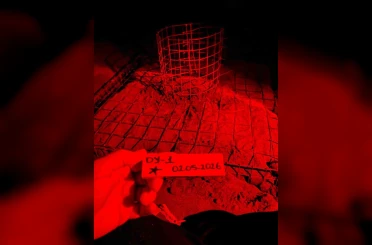 İztuzu’nda yılın ilk caretta yuvası koruma altına alındı 
