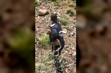 JAK dalgıçları sarp yamaçta mahsur kalan yavru keçiyi kurtardı 