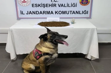 Jandarma ekiplerinden uyuşturucu operasyonu, 361 gram bonzai ele geçirildi 