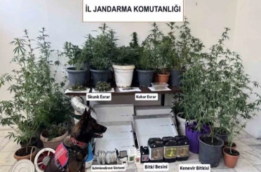 Jandarma ekiplerinin uyuşturucu ve sahte alkol denetimleri sürüyor 