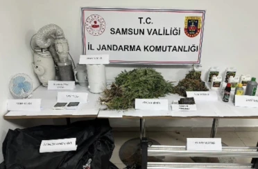 Jandarmadan evde kenevir operasyonu 