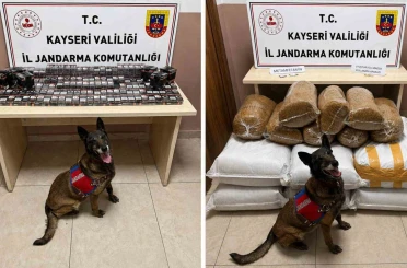 Jandarmadan uyuşturucu ve kaçakçılık operasyonu: 200 kilogram kaçak tütün ele geçirildi 