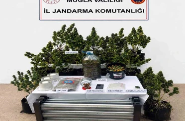 Jandarmadan uyuşturucuya geçit yok 