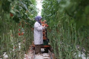 Jeotermal, 2025’te yatırım uykusundan uyandı 