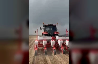 Kabak çekirdeği üretiminde önemli merkez olan Tomarza’da ekim sezonu başladı 
