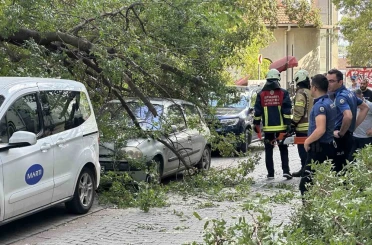 Kadıköy’de ağaç dalı iki otomobilin üzerine devrildi 