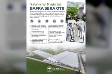Kadın eliyle yeşeren tarım: Bafra Sera OTB, yıllık 1,5 milyar liralık katkı sunacak 
