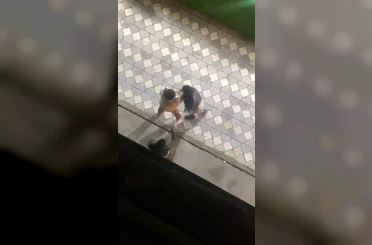 Kadınların saç başa birbirine girdiği kavgası kameraya yansıdı 