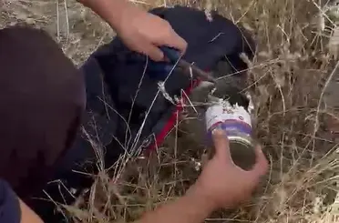 Kafası konserve kutusuna sıkışan kediye itfaiyeden yardım eli
