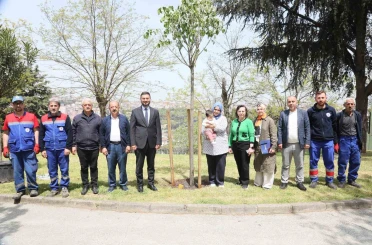 Kağıthane’de çocukların geleceğine yeşil yatırım 