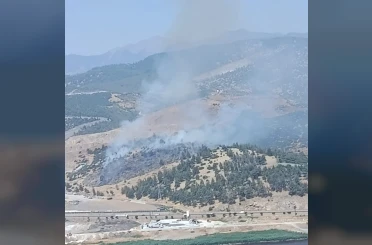 Kahramanmaraş’ta orman yangını