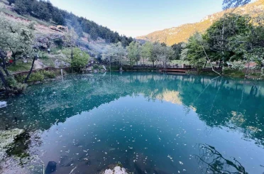 Kahramanmaraş’ta "Yeşilgöz" göz kamaştırıyor 