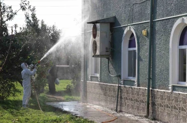 Kahverengi kokarca ile mücadele: 850 hane, 23 kamu alanı ve 623 ahır ilaçlandı 